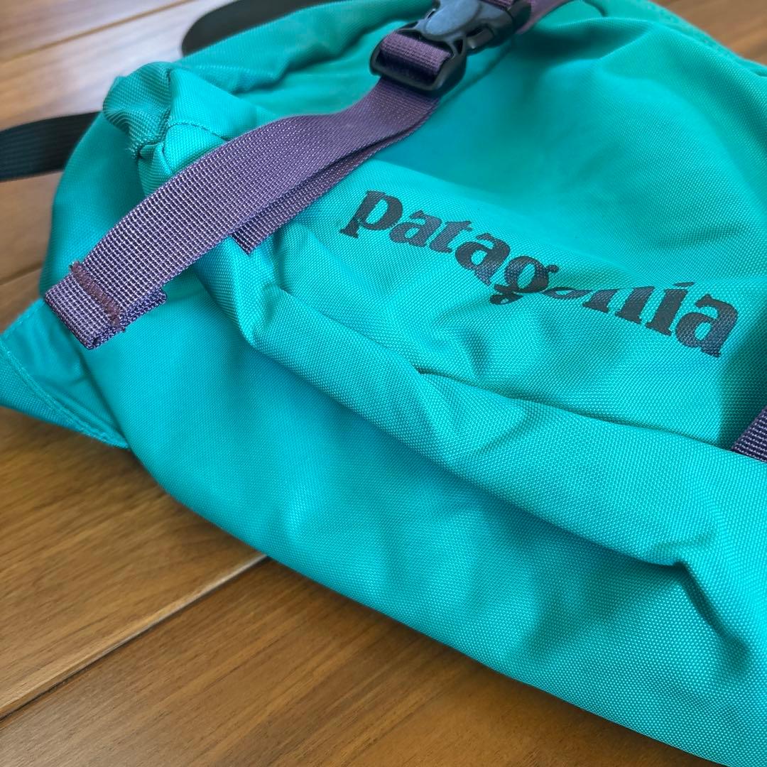 Patagonia アトムスリング 梨花使用