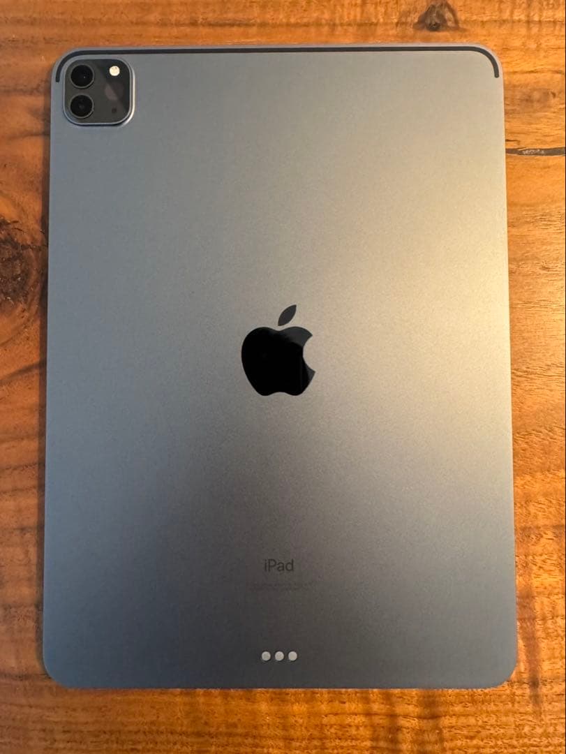 brrApple iPad Proスペースグレー 本体 充電器・カバー付き