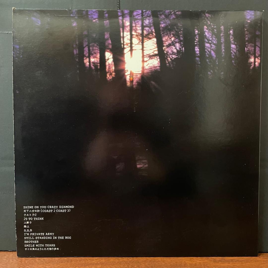 レコード2LP/THA BLUE HERB/SELL OUR SOUL