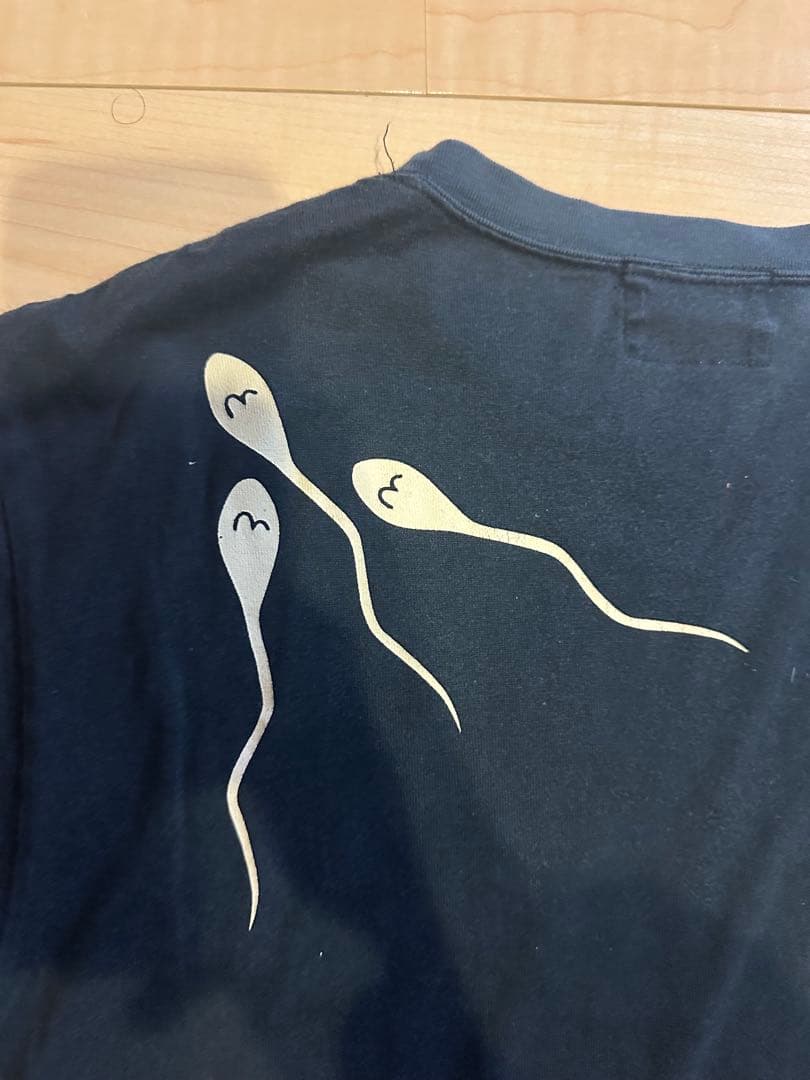 早い者勝ち❗️ ［激レア］evisu Tシャツ