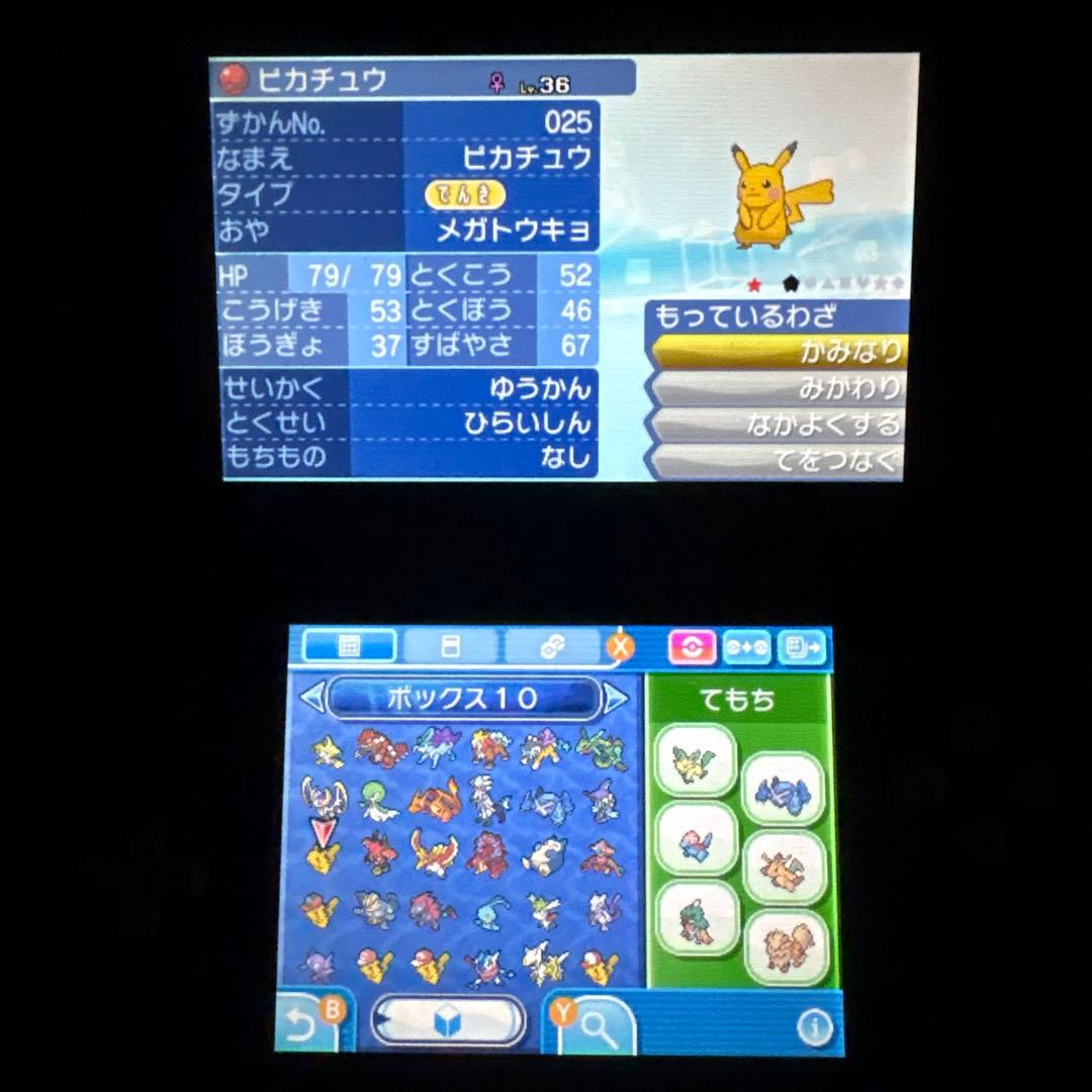シ*佐様 配布ポケモン多数所持　ポケットモンスター ムーン