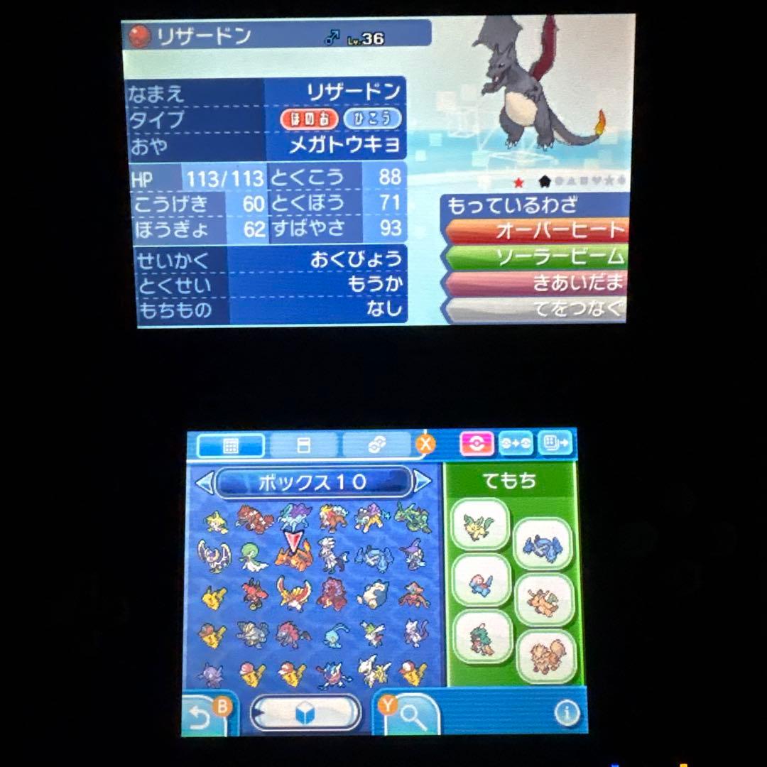 シ*佐様 配布ポケモン多数所持　ポケットモンスター ムーン