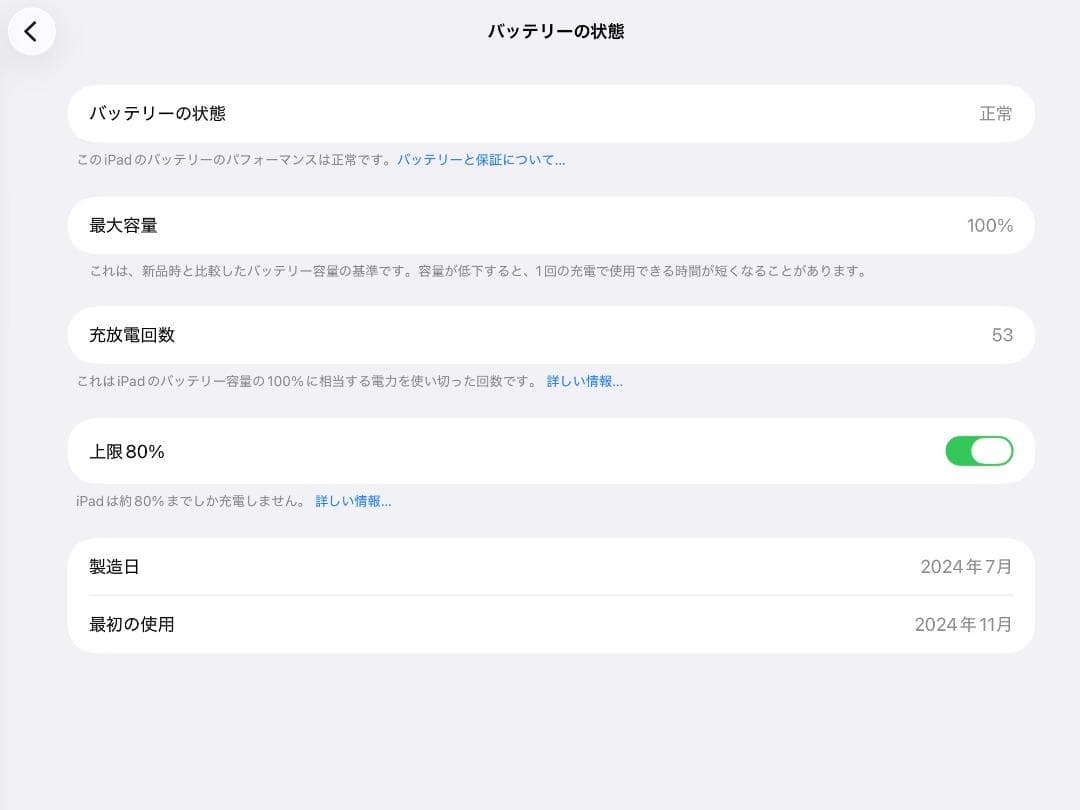 iPad Pro M4 13インチ MVX23J/A 256GB 本体のみ