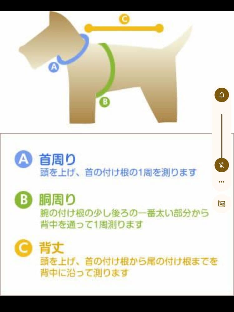 ハルページ