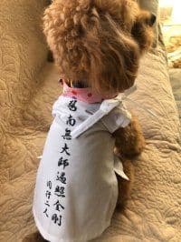 ハルページ