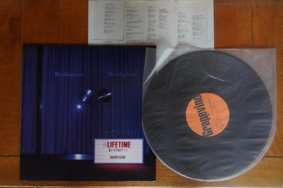【名盤レコード】GRAPEVINE『LIFETIME』中古美品