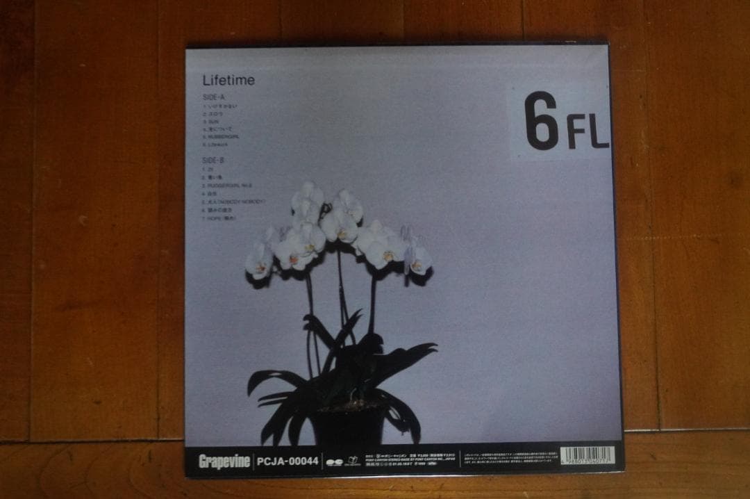 【名盤レコード】GRAPEVINE『LIFETIME』中古美品