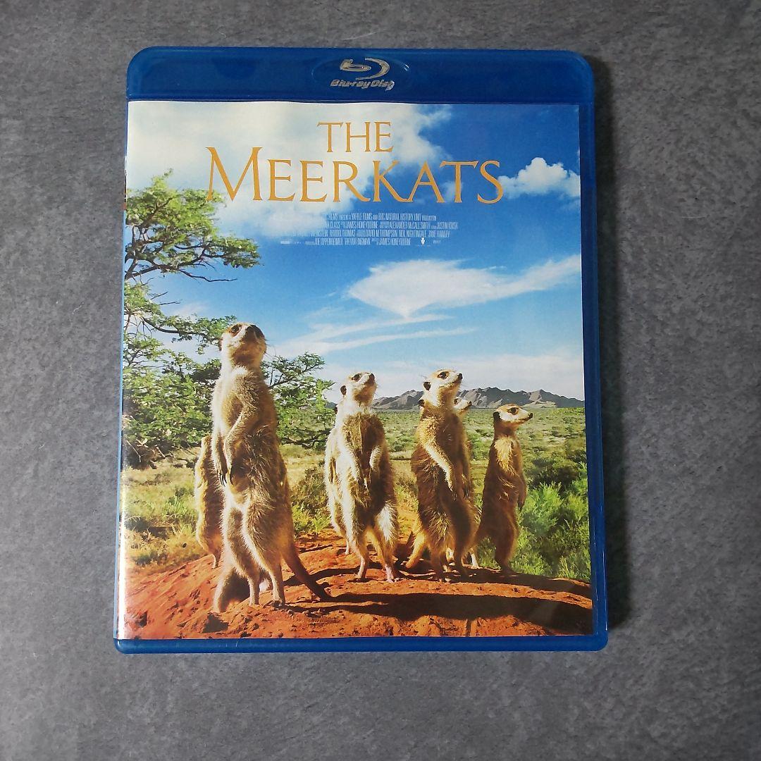 【廃盤】ドキュメンタリー映画Blu-ray(セル版)『ミーアキャット』中古品