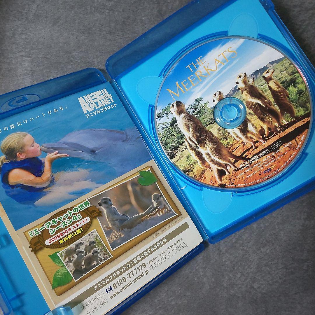 【廃盤】ドキュメンタリー映画Blu-ray(セル版)『ミーアキャット』中古品
