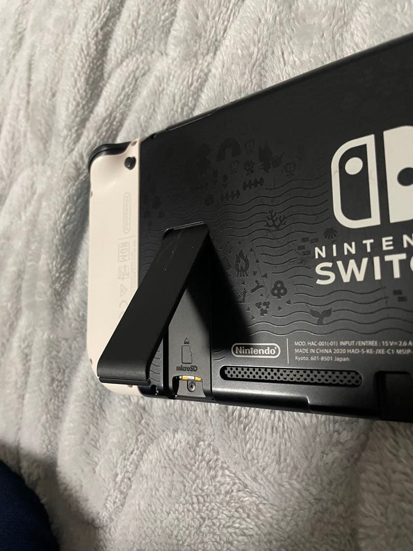 Nintendo Switch Lite 水色と黒