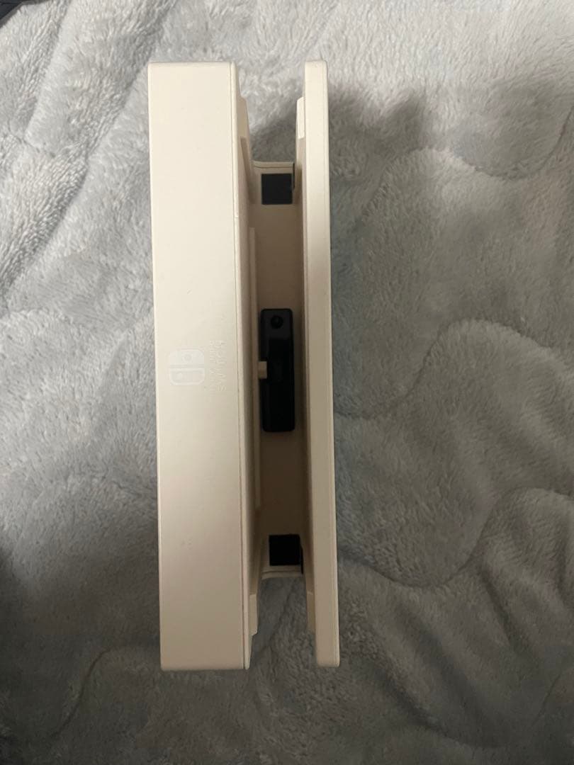 Nintendo Switch Lite 水色と黒
