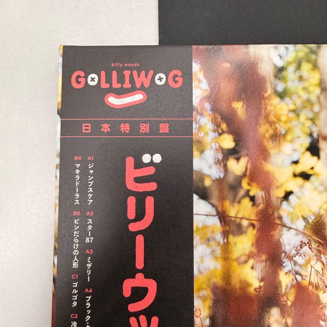 billy woods GOLLIWOG vinyl record ビリーウッズ
