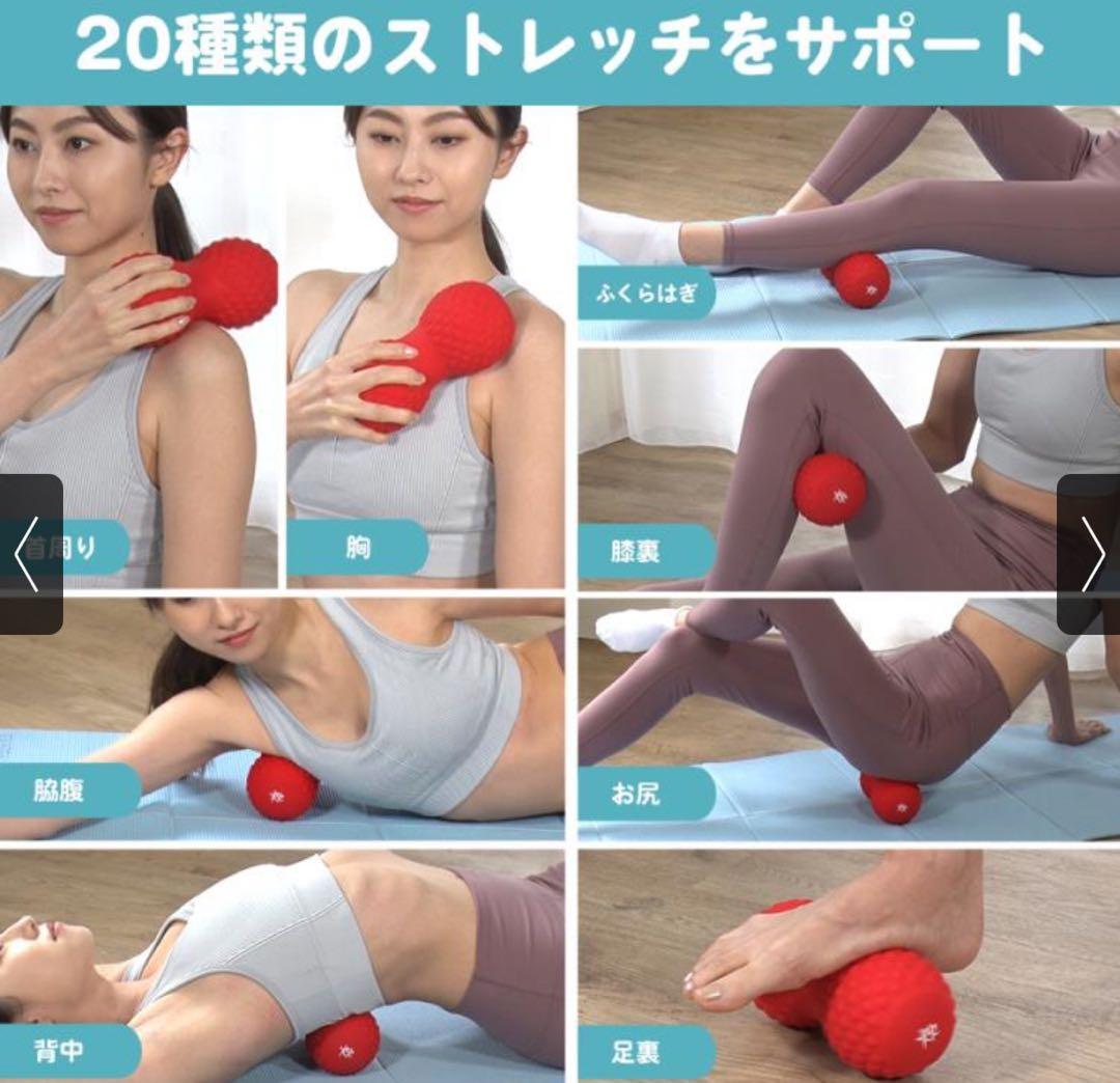 【美品】フィットネスクラブがつくったシェイプツインボール