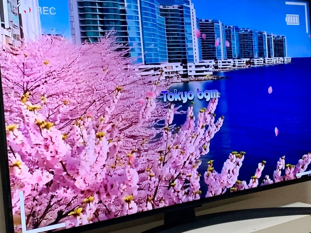 テレビ NanoCell 43インチ WIFI搭載　LG 美品