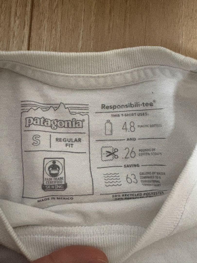 Patagonia パタゴニア　Tシャツ　ワールドトラウト　ニジマス　S 希少