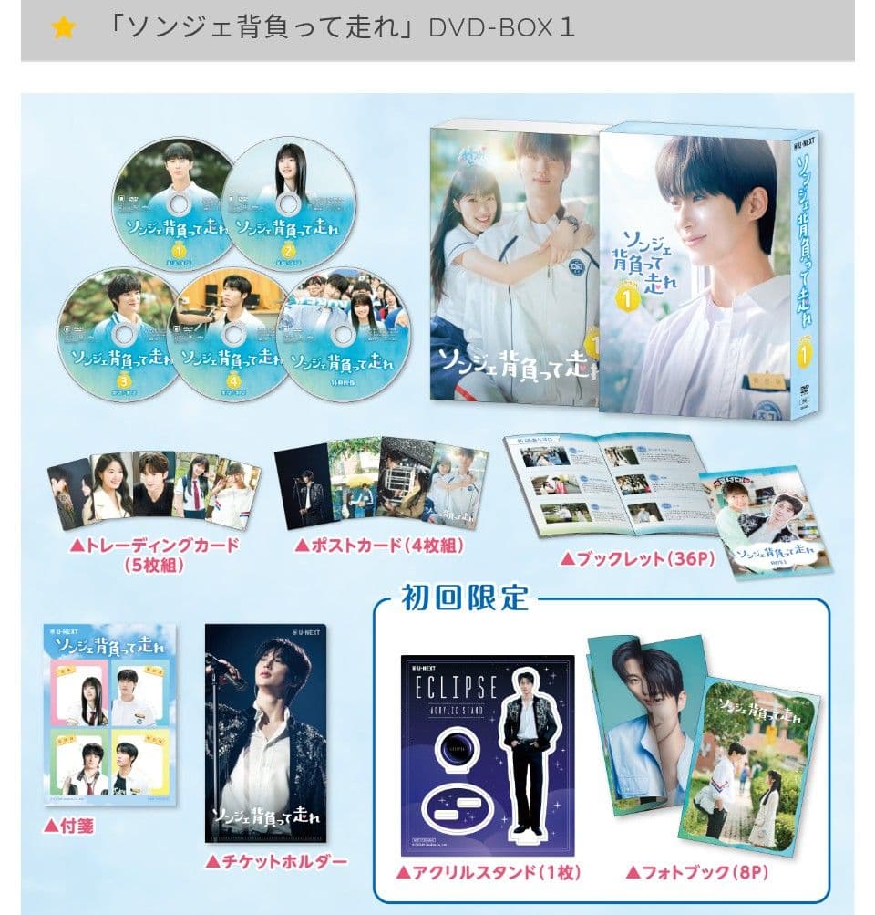 ソンジェ背負って走れ 公式 DVDBOX 1、2 初回限定特典付