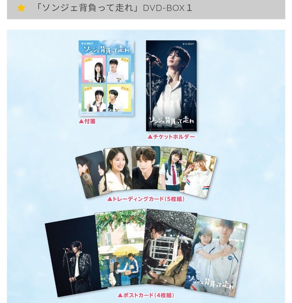 ソンジェ背負って走れ 公式 DVDBOX 1、2 初回限定特典付