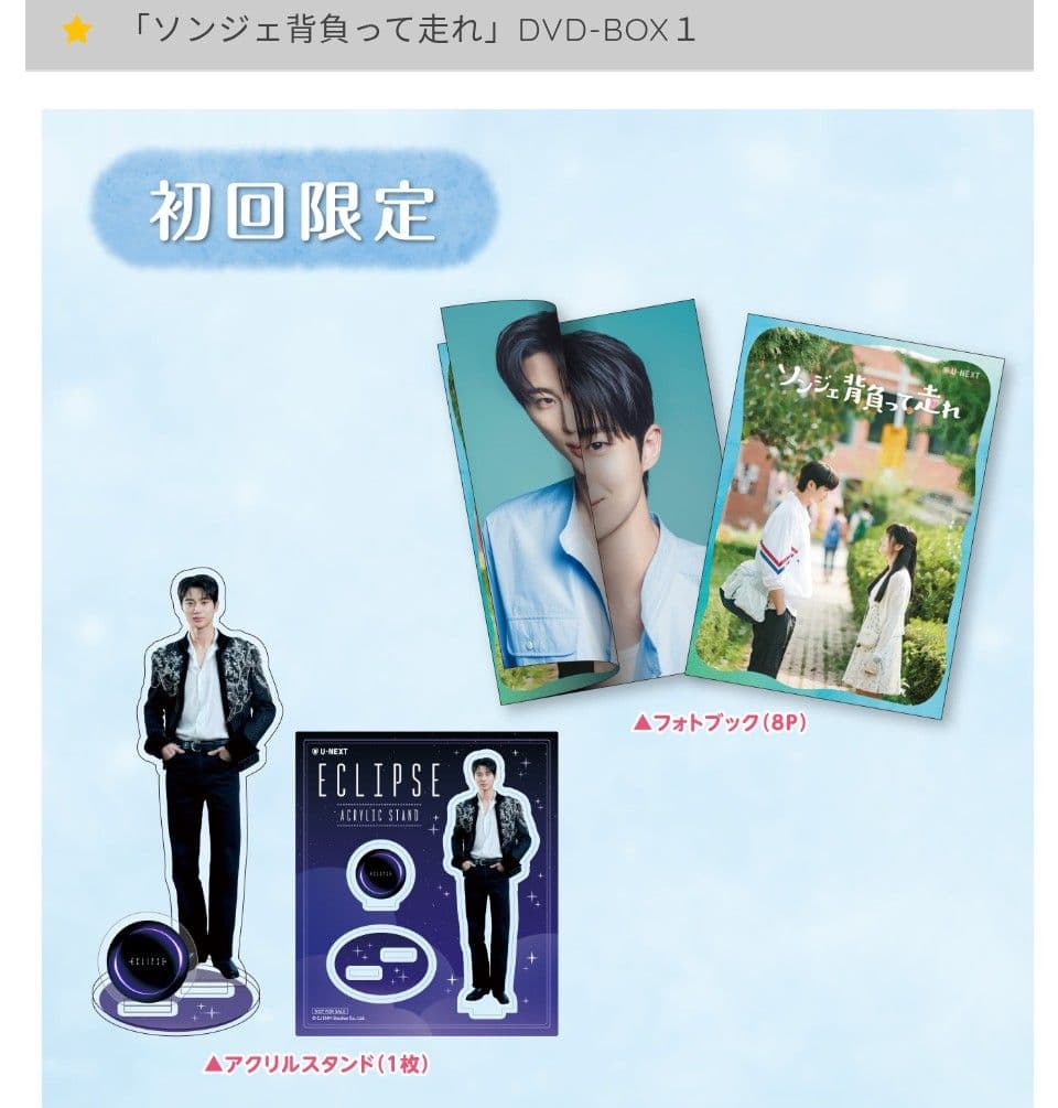 ソンジェ背負って走れ 公式 DVDBOX 1、2 初回限定特典付
