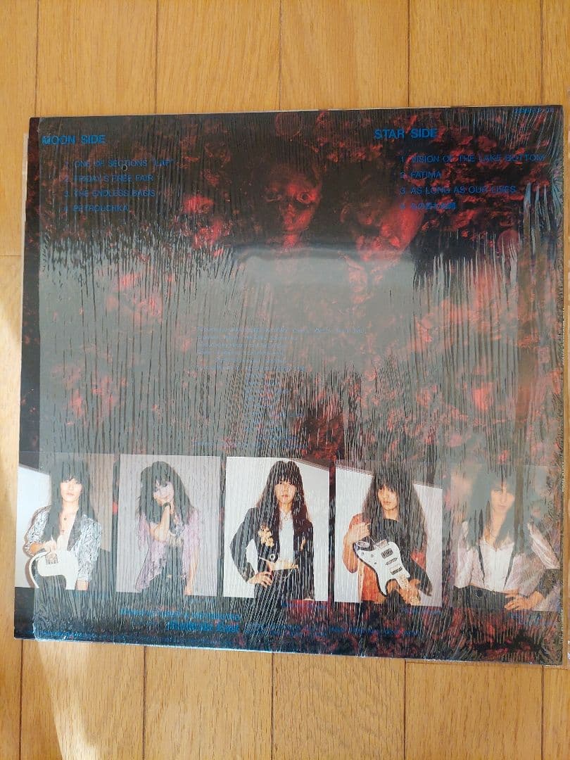 TERRA ROSA LPレコード + ソノシート 2セット