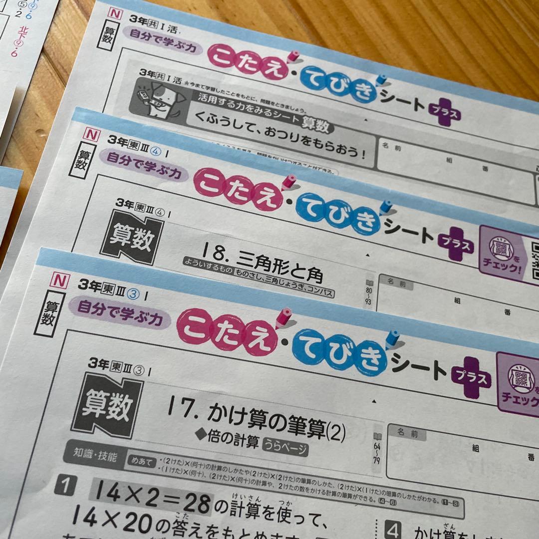 ぶんけい3年生 理科 国語　算数カラーテスト答え45枚セット！