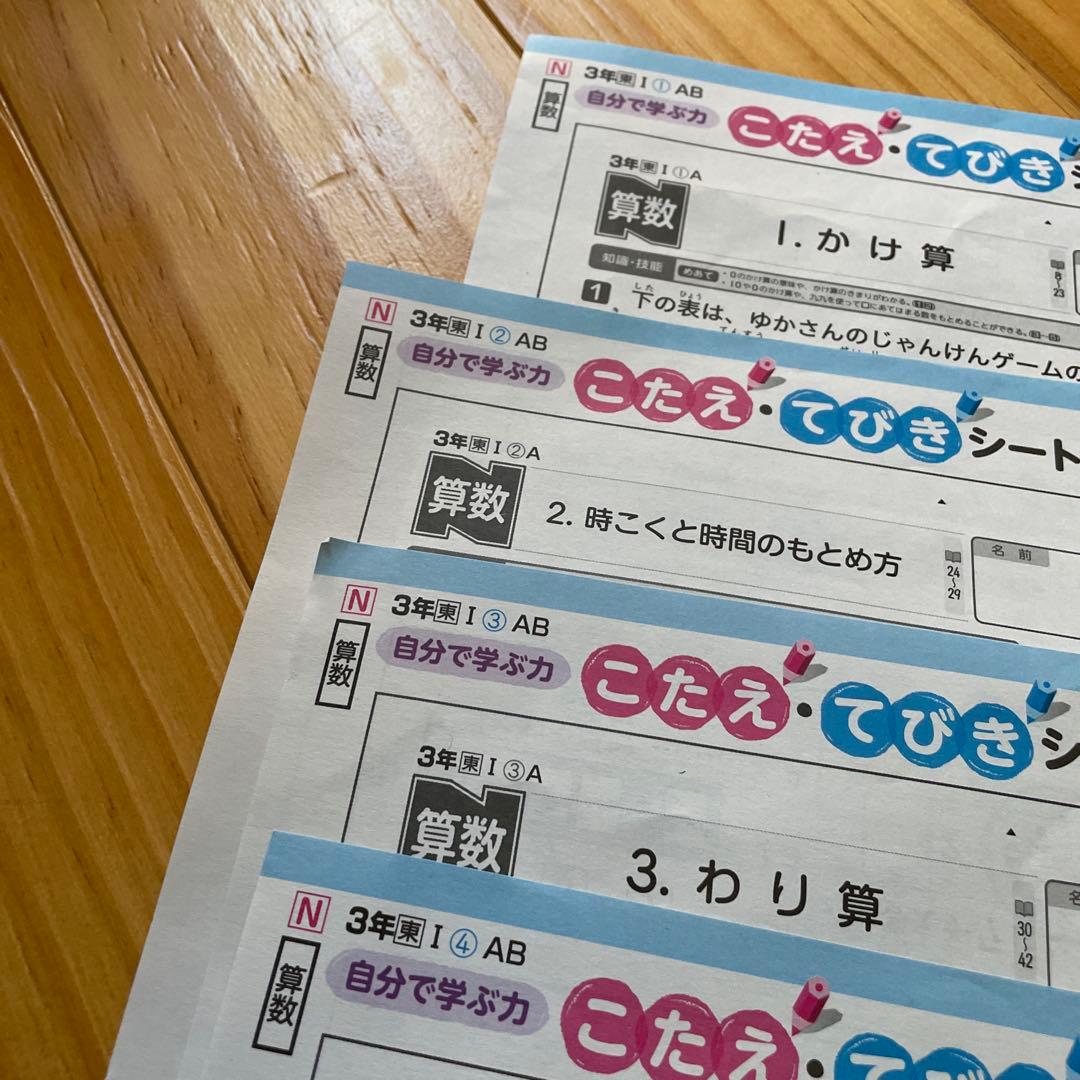 ぶんけい3年生 理科 国語　算数カラーテスト答え45枚セット！