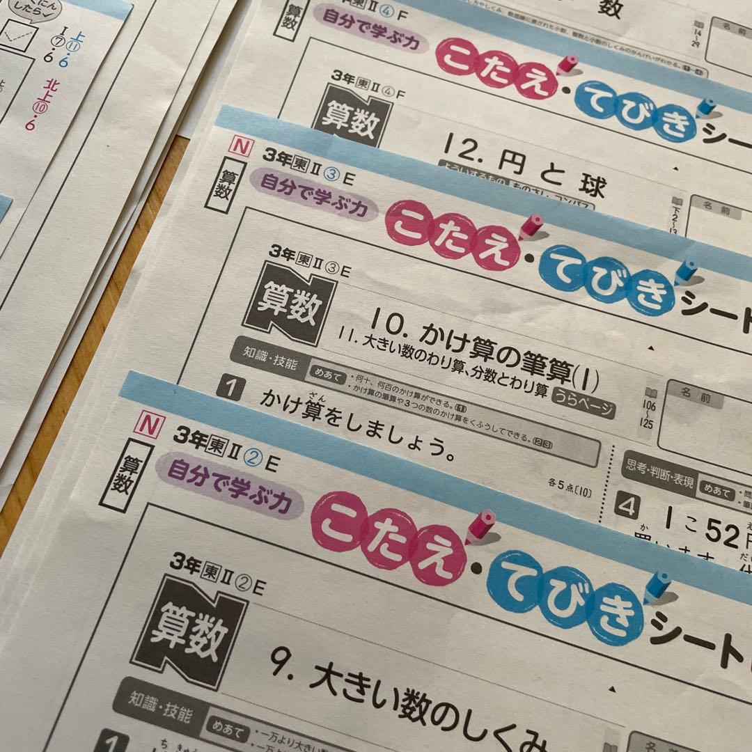 ぶんけい3年生 理科 国語　算数カラーテスト答え45枚セット！