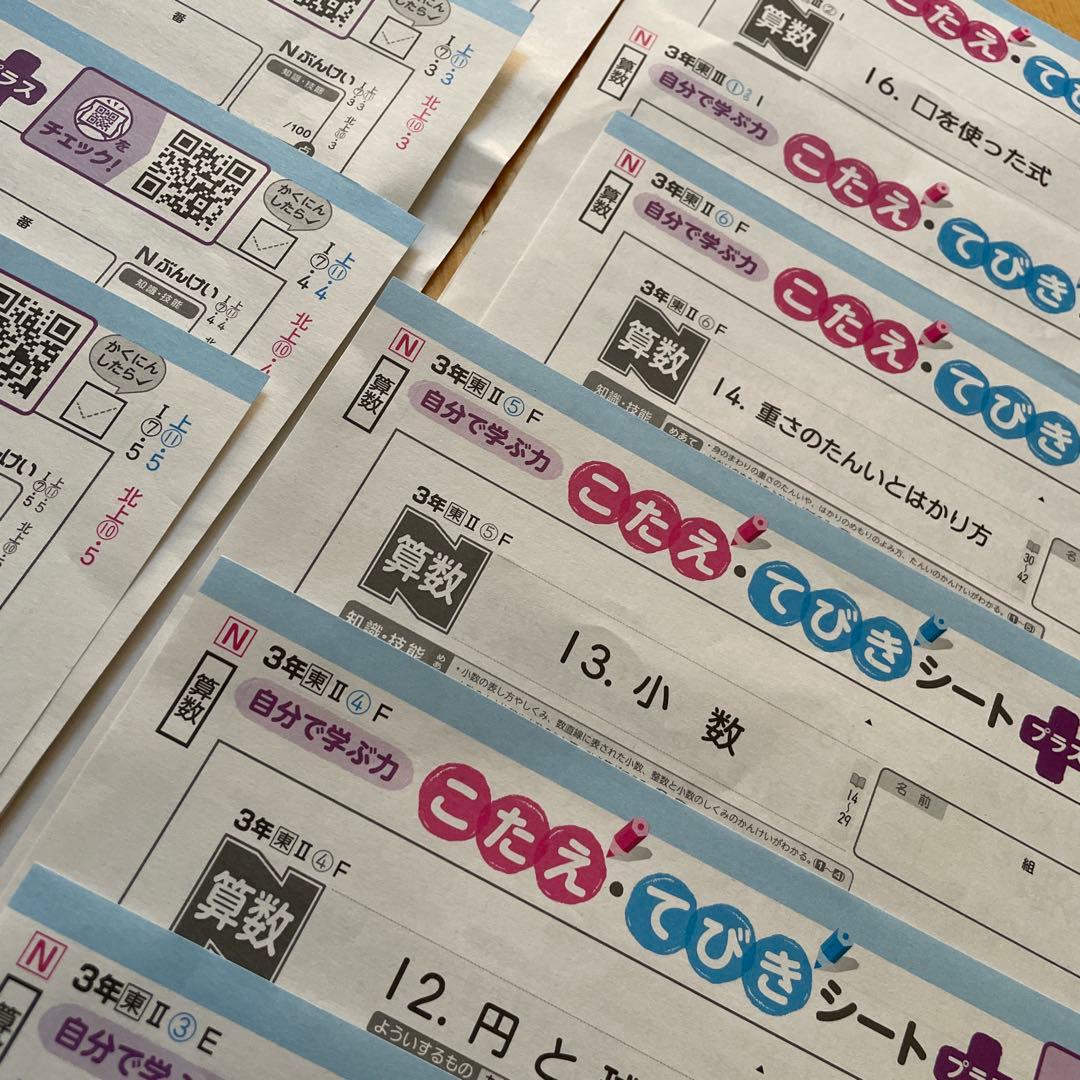ぶんけい3年生 理科 国語　算数カラーテスト答え45枚セット！