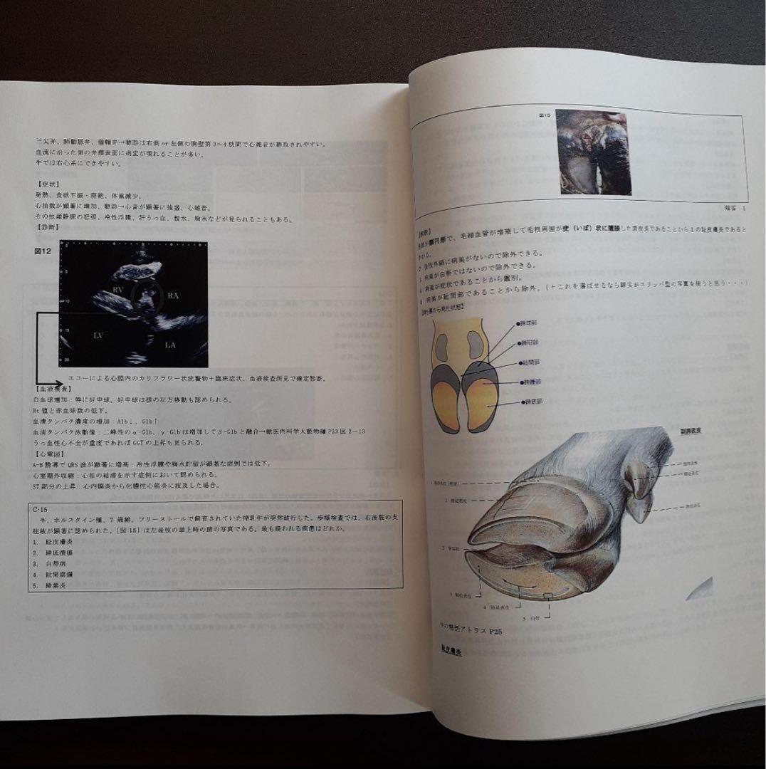 獣医師国家試験問題集
