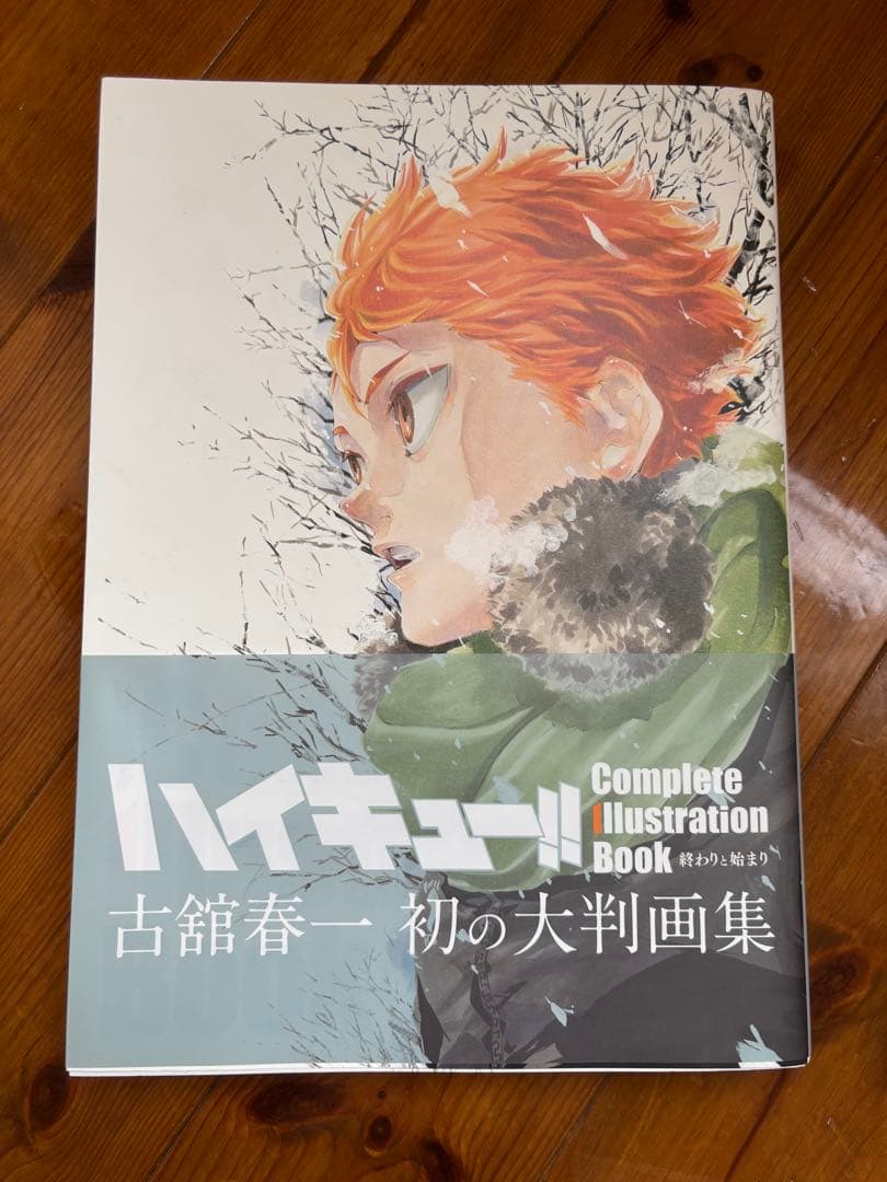 ハイキュー!! イラスト　ガイドブック　マガジン　ジャンプGIGA特典　缶バッジ
