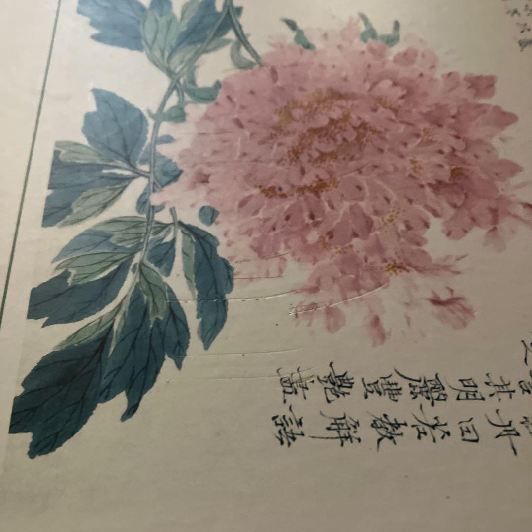 田能村竹田基本画譜 全２巻　図版篇・解説篇