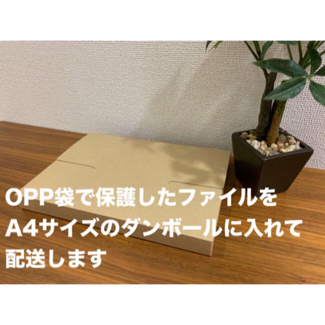 【３冊セット】訪問看護報告書・計画書のルールと記載例＋フィジカルアセスメント集