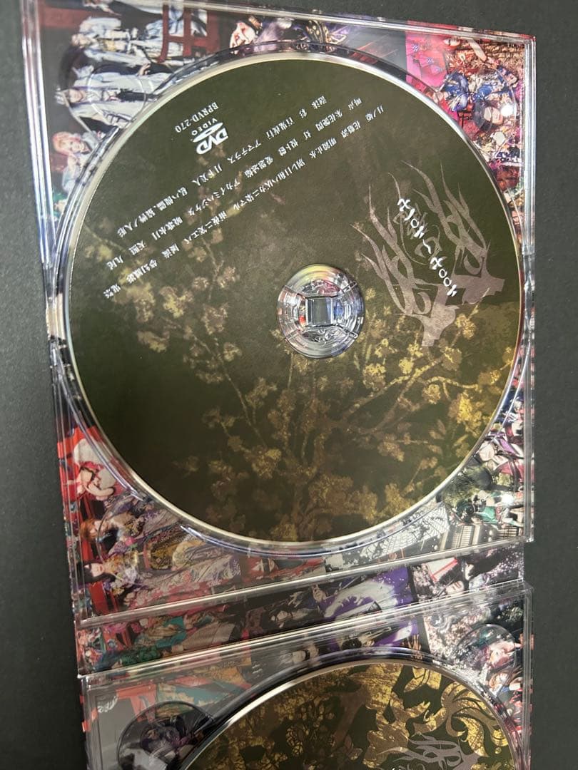 己龍 ベストアルバム 初回限定盤A type 音源9枚セット