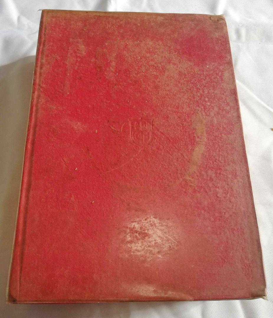 古書 中国古典文学 野叟曝言 夏敬渠