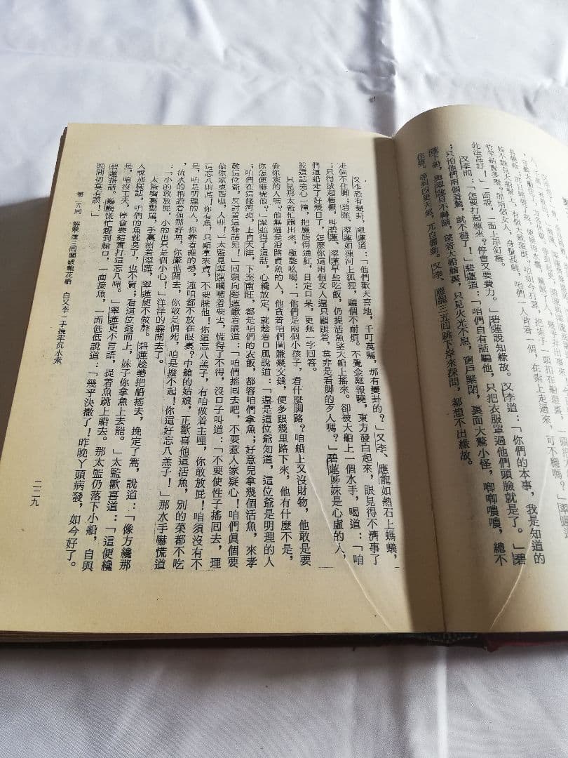 古書 中国古典文学 野叟曝言 夏敬渠