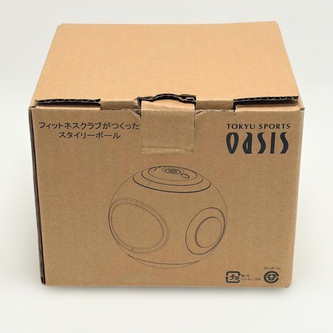 美品✨スタイリーボール SLB-100 送料無料 匿名配送 迅速発送