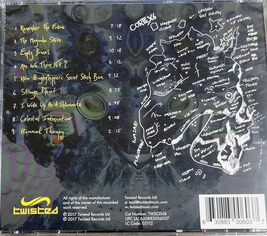 洋楽 SHPONGLE Codex VI HALLUCINOGEN/RAJA RAM