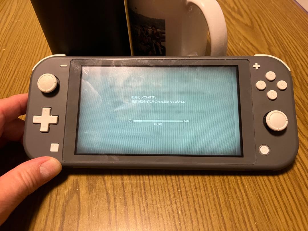 ジャンク　Nintendo Switch Lite 本体 充電器付き