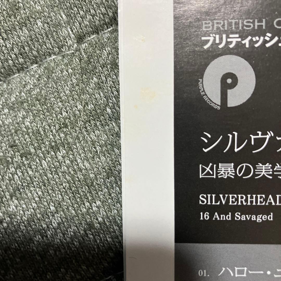 シルヴァー・ヘッド　SILVER HEAD マイケル・デ・バレス