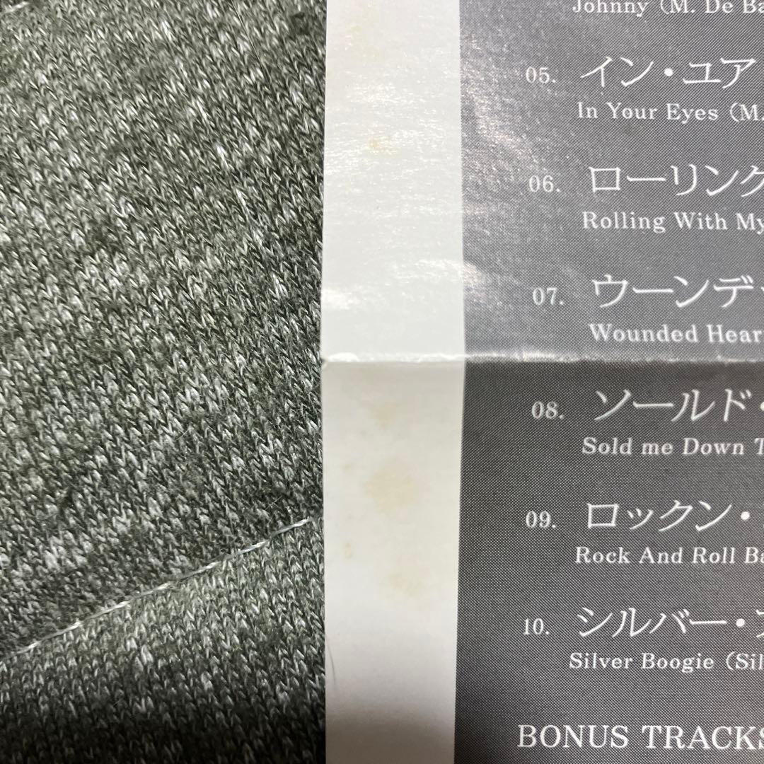 シルヴァー・ヘッド　SILVER HEAD マイケル・デ・バレス