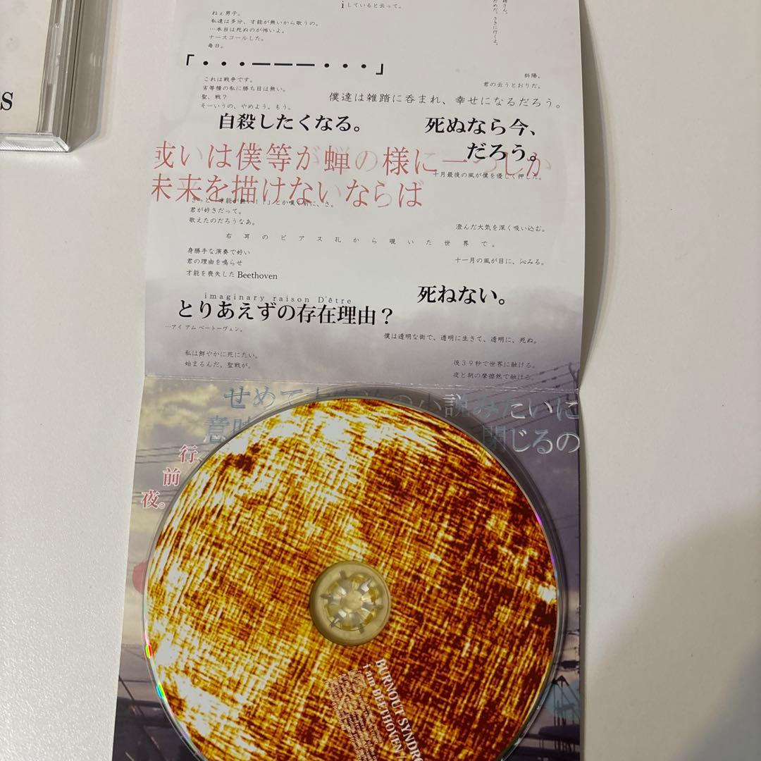 BURNOUT SYNDROMES 廃盤CDセット