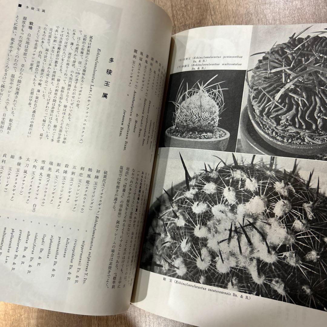 シャボテン Cacti & Succulents 誠文堂新光社