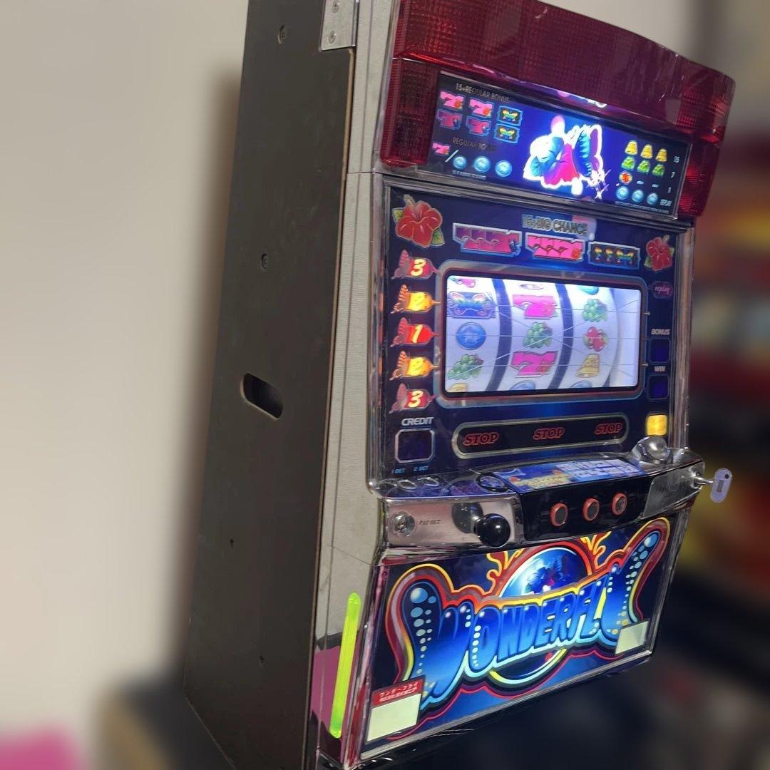 【送料込】ワンダーフライ　不要機仕様