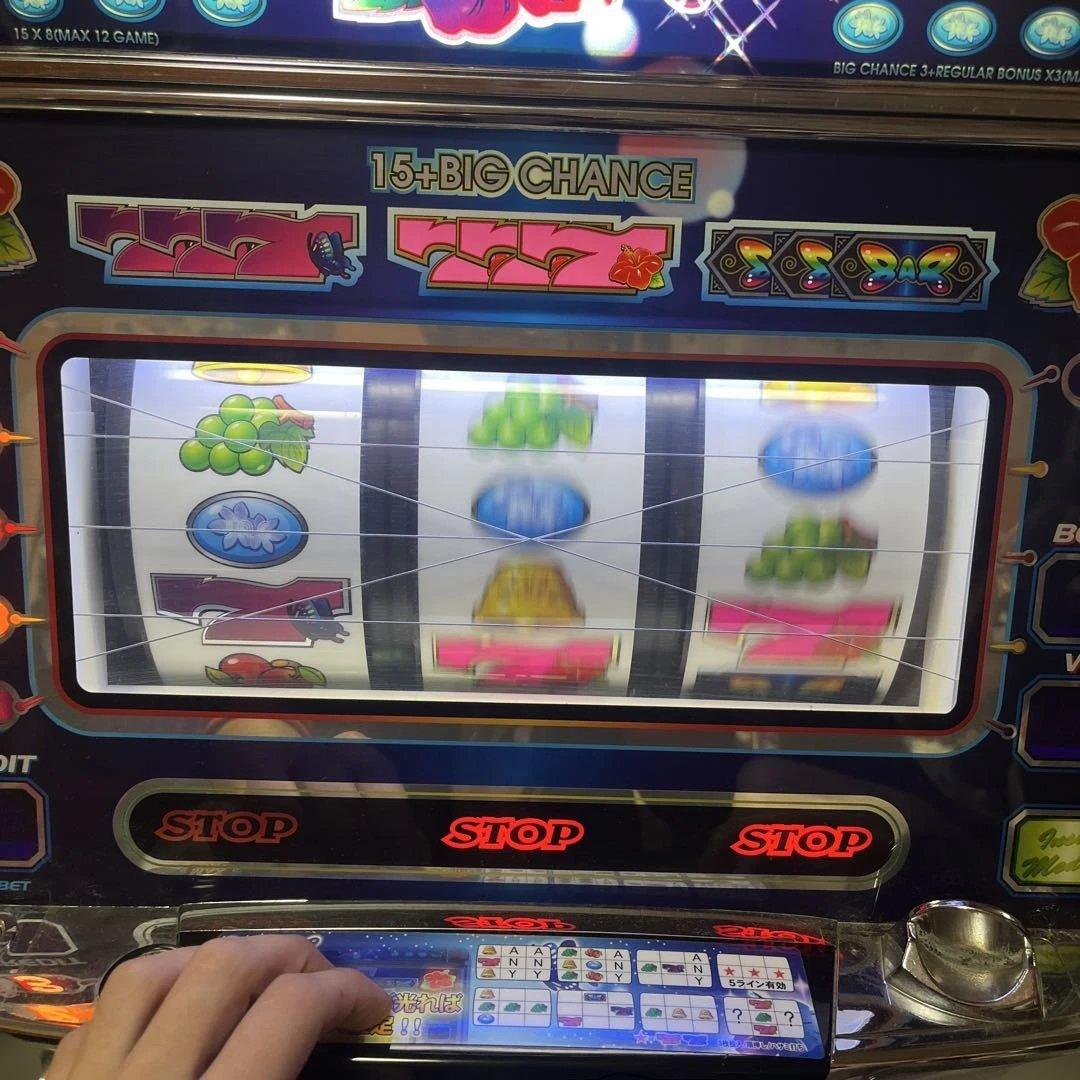 【送料込】ワンダーフライ　不要機仕様