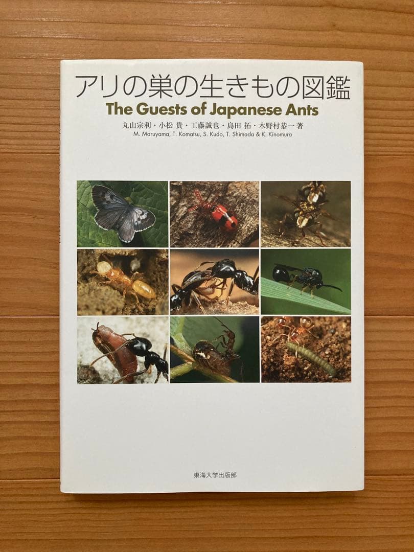 アリの巣の生きもの図鑑　東海大学出版 好蟻性昆虫 蟻 絶版