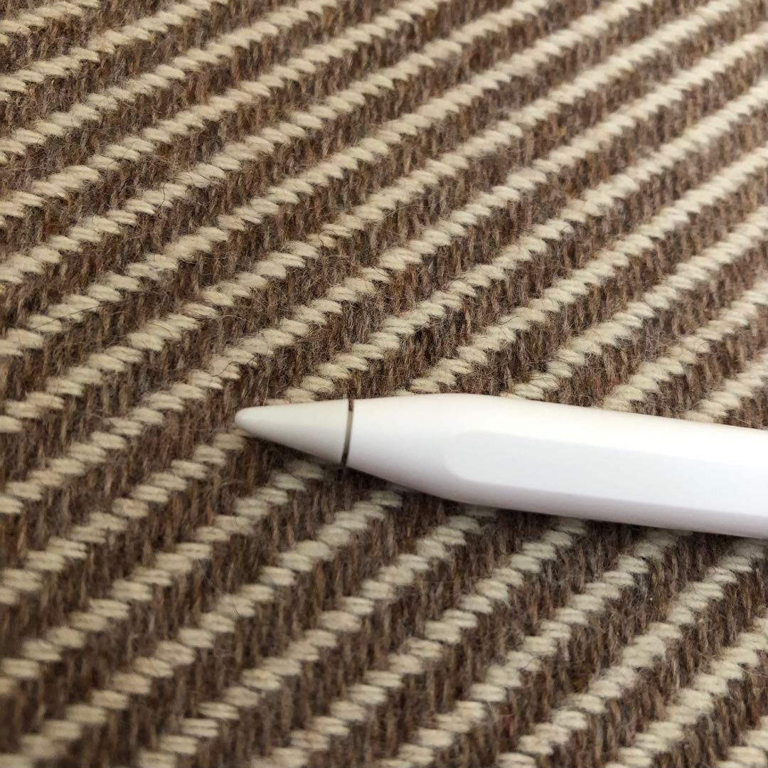 Apple pencil (第2世代)(刻印無)