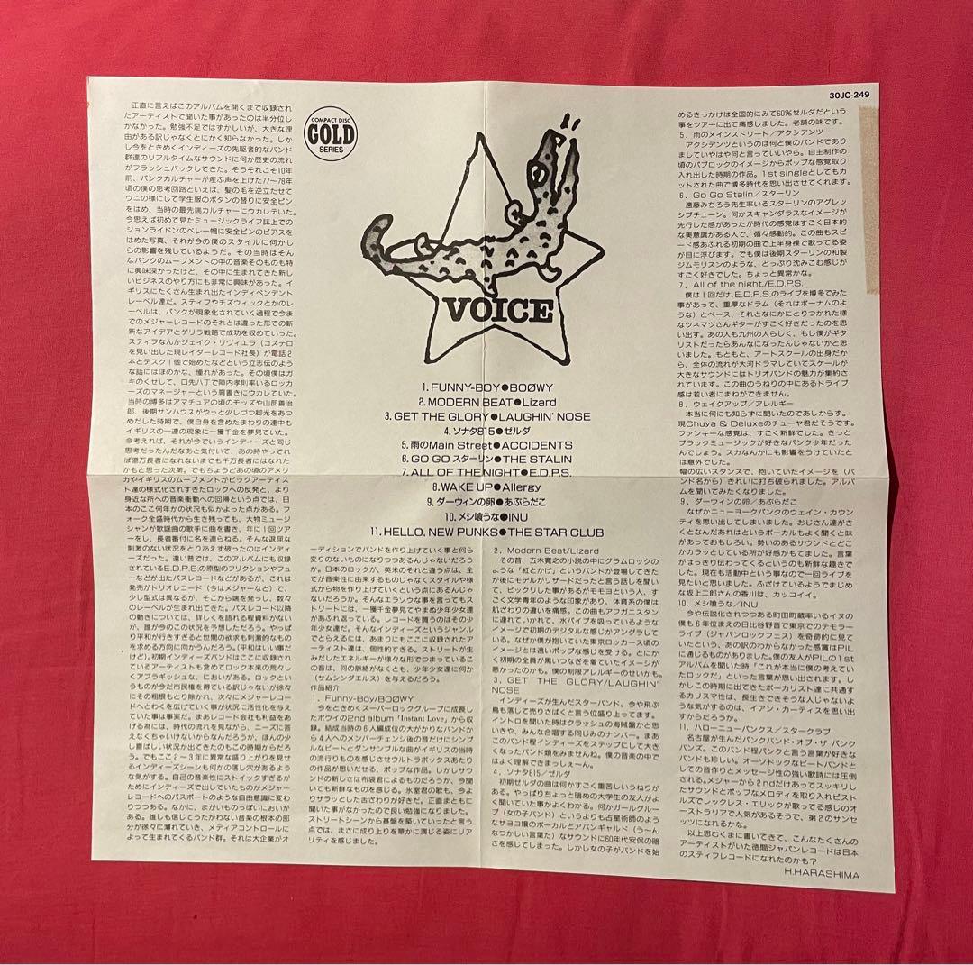 【VOICE✨ラフィンノーズ✨BOOWY✨スターリン✨あぶらだこ他✨CD】