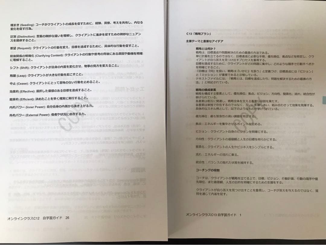 マスターコーチングマニュアル600万が特典追加自学習ガイド８５６pお値段そのまま