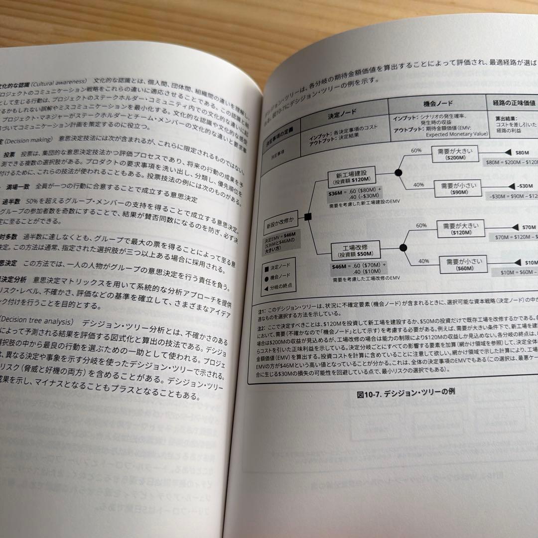 プロセス群：実務ガイド PMI日本支部
