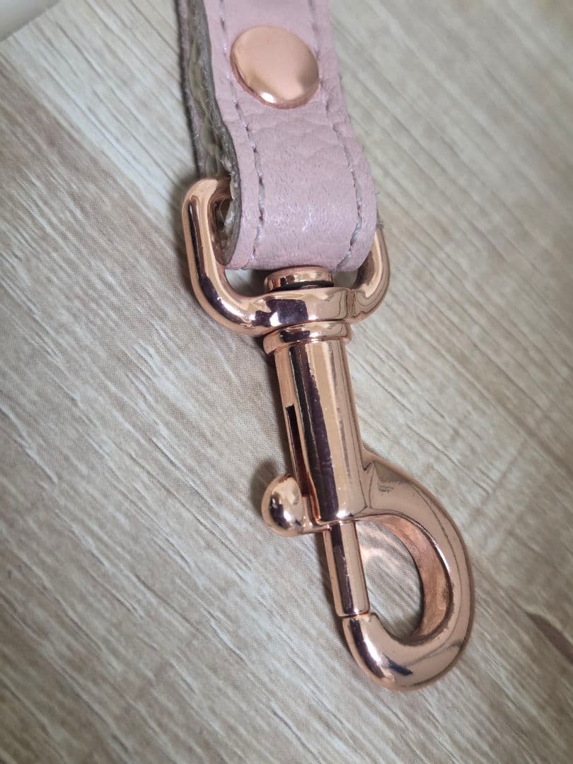 バディベルト ブラッシュ 2.5 BB リードセット BUDDY BELT
