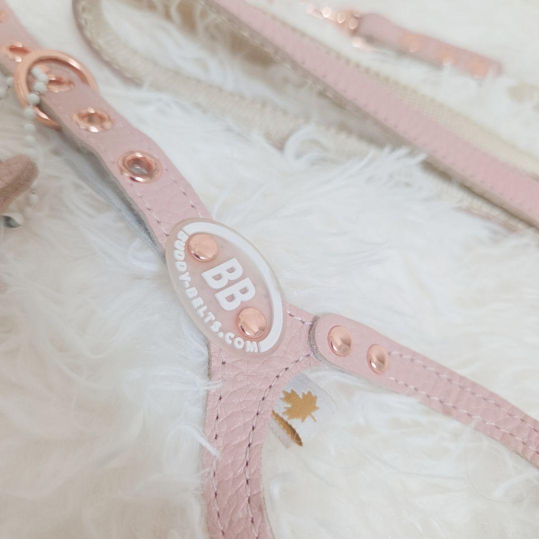 バディベルト ブラッシュ 2.5 BB リードセット BUDDY BELT